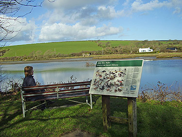 bird watching at Nevern